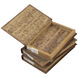 Anita 5.5 X 1.5 inch Brown Book Box, Set of 4