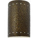 Ambiance Collection LED 9.5 inch Hammered Brass Outdoor Wall Sconce