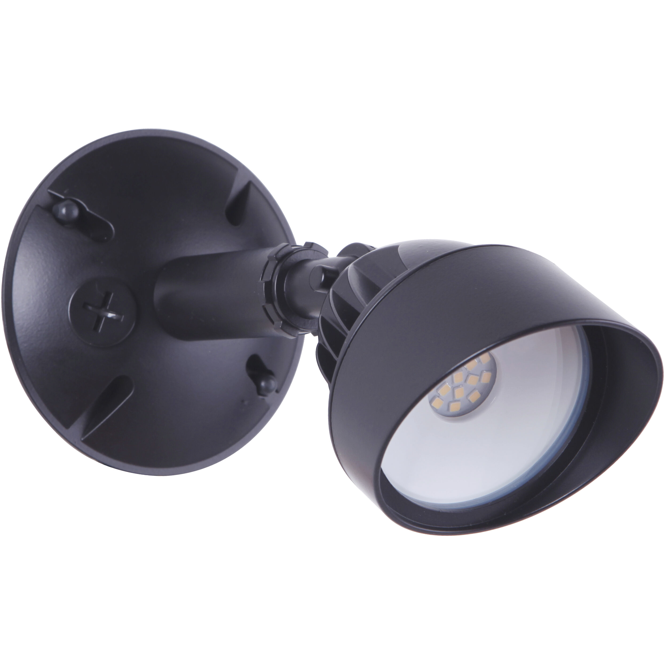 Bejamin LED Bronze Outdoor Flood