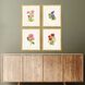 Delicate Medley Multi and Green and Pink and Purple Framed Art