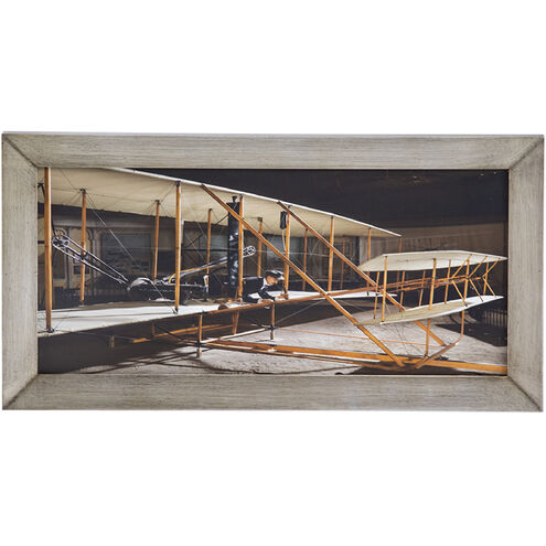 Flight Multi Color Wall Art