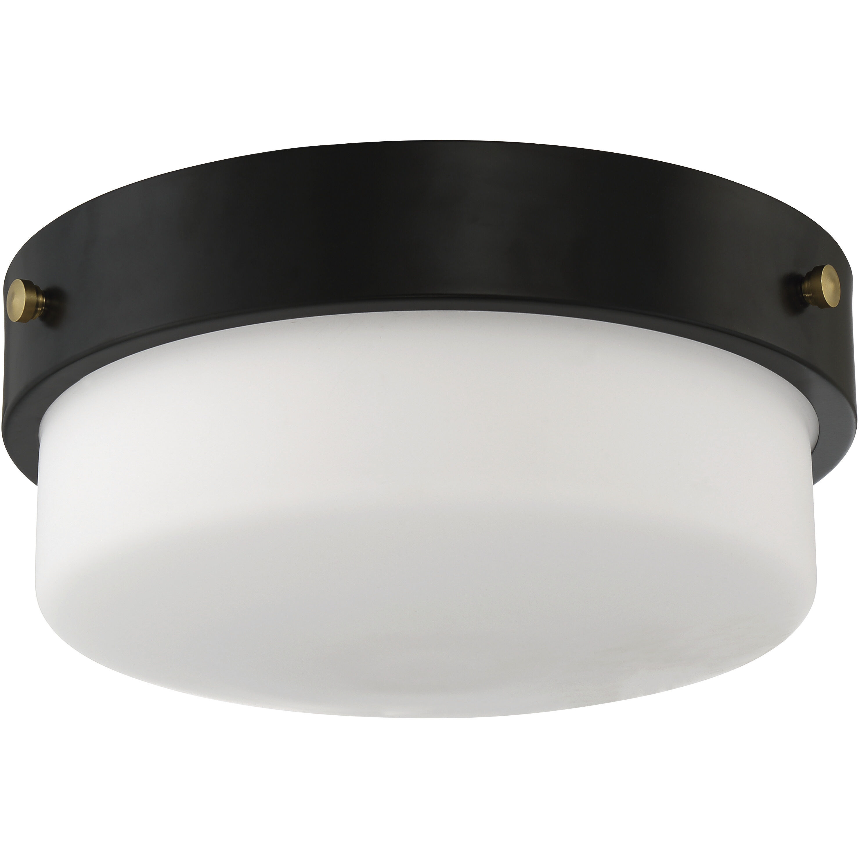 Oak Street 2 Light 13 inch Flat Black Flushmount Ceiling Light