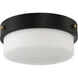 Oak Street 2 Light 13 inch Flat Black Flushmount Ceiling Light