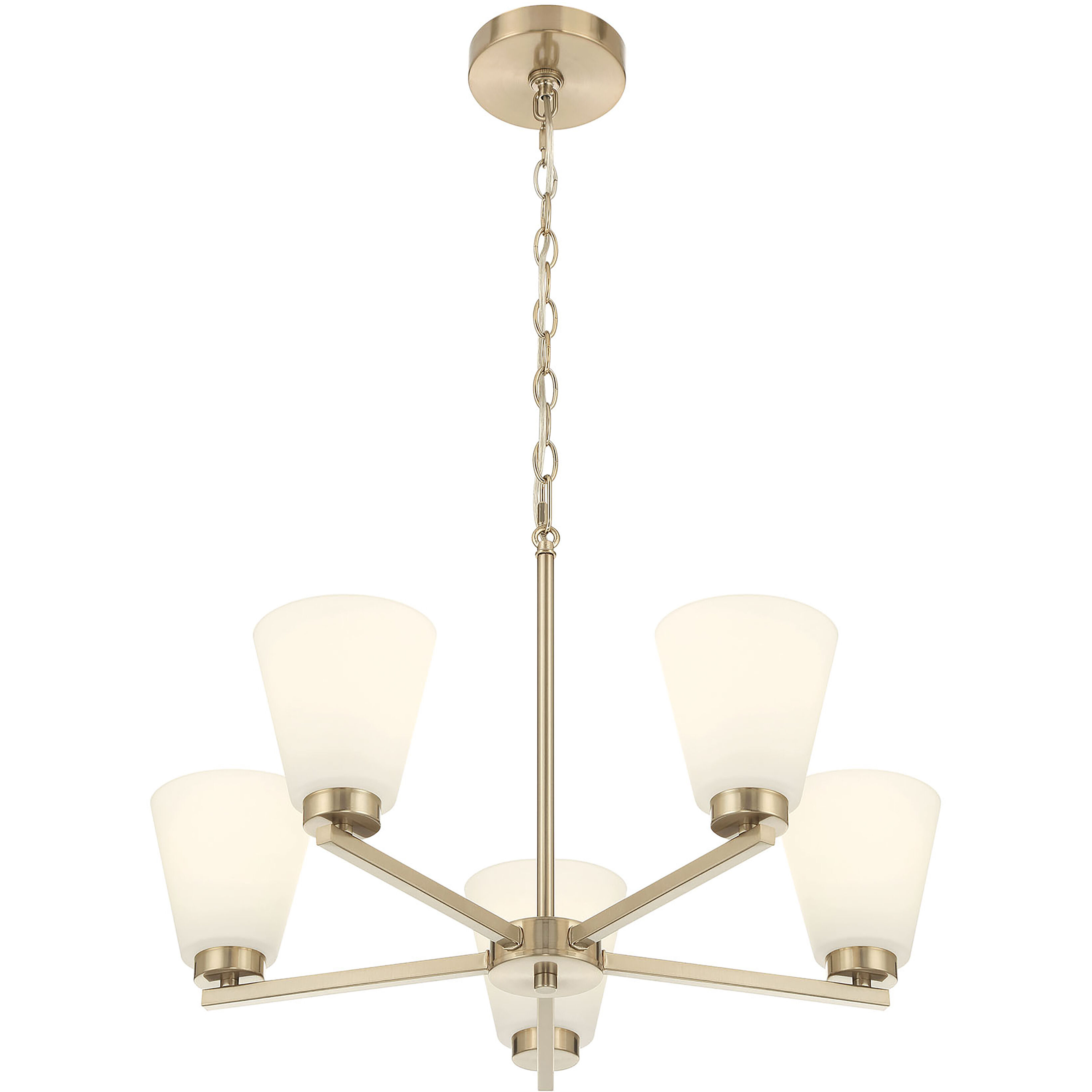 Strayhan 5 Light 24.00 inch Chandelier