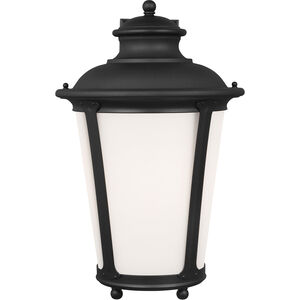 Cape May 1 Light 20.25 inch Black Outdoor Wall Lantern, Extra Large