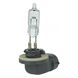 Lumos Incandescent 37.5 watt 12.8 Light Bulb, Miniature