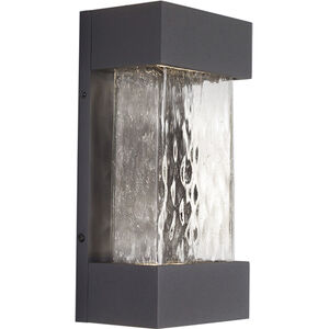 Moondew LED 12 inch Graphite Exterior Wall Sconce