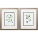 Florals Collection Green Framed Art
