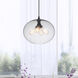 Glass 4 Light 16 inch Black Down Pendant Ceiling Light in Clear