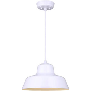 Levi 1 Light 14 inch Matte White Pendant Ceiling Light