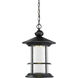 Genesis LED 11.63 inch Black Outdoor Chain Mount Ceiling Fixture