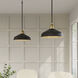 Axlen 1 Light 12 inch Matte Black and Vintage Brass Pendant Ceiling Light