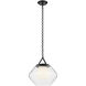 Nella 1 Light Black Pendant Ceiling Light