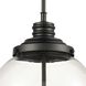 Chandra Pendant Ceiling Light in Matte Black