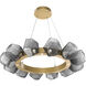 Gem LED 36 inch Gilded Brass Chandelier Ceiling Light in 3000K LED, Smoke, Radial Ring