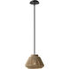 Eco LED 11.5 inch Matte Black Pendant Ceiling Light in Natural