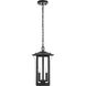 Thayer 2 Light 9 inch Black Outdoor Pendant