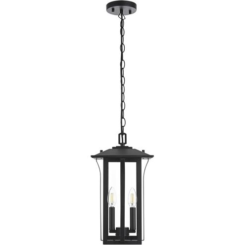 Thayer 2 Light 9 inch Black Outdoor Pendant