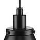 Hinton 1 Light 8.25 inch Matte Black Mini-Pendant Ceiling Light