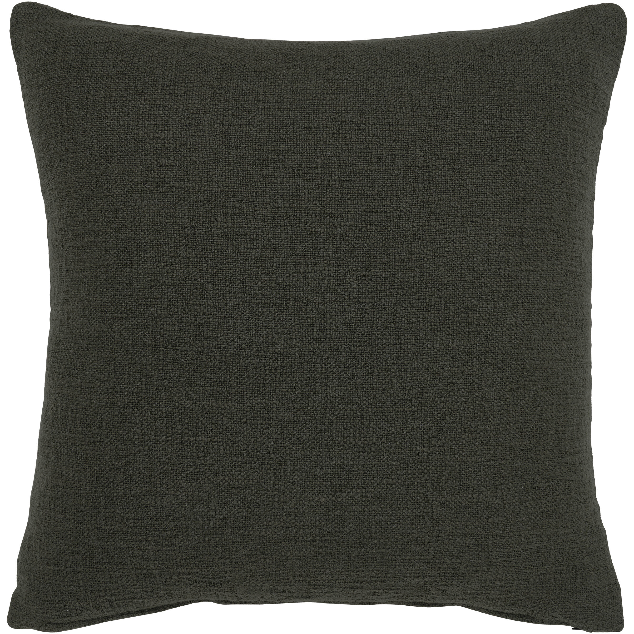 Sandro 22 inch Green Indoor Pillow