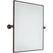 Pivot Mirrors 30 X 30 inch Dark Brushed Bronze Mirror in Dark Brushed Bronze Plated, Rectangle Beveled