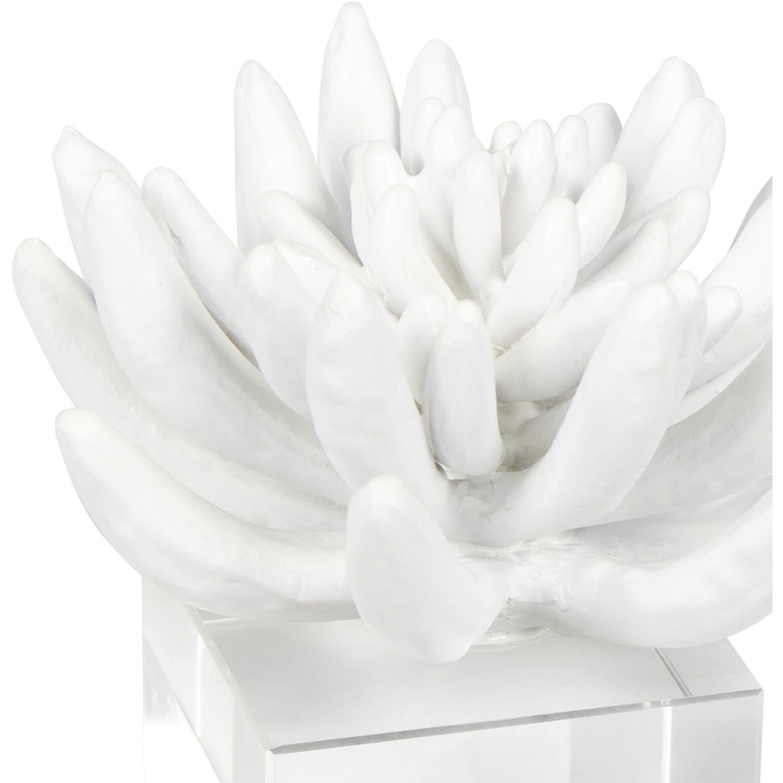 Succulent White Objet, Sculpture 2
