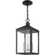Nyack 3 Light 8.25 inch Black with Brushed Nickel Cluster Outdoor Pendant Lantern
