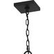 Infinger 1 Light 9 inch Earth Black Outdoor Hanging Lantern, Large