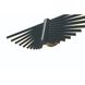Seraph Wall Sconce Wall Light in Black