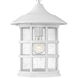 Freeport Coastal Elements LED 10 inch Textured White Outdoor Hanging Lantern
