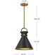 Alora Mood Emerson Pendant Ceiling Light in Matte Black and Aged Gold