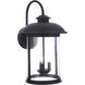 O'Fallon 3 Light 22 inch Dark Bronze Gilded Outdoor Wall Lantern