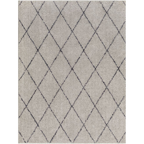 Lykke 48 X 31 inch Taupe Rug, Rectangle