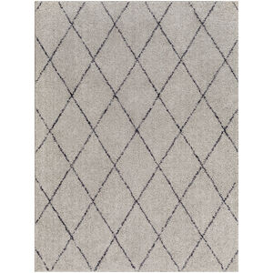 Lykke 71 X 51 inch Taupe Rug, Rectangle