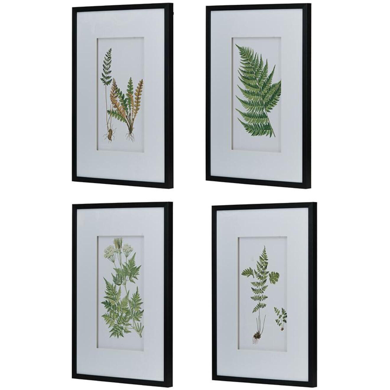 Anita Black/White Wall Art