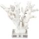 Coral 11.75 X 8.25 inch Sculpture, Set of 2