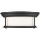 Sonna 2 Light 13.5 inch Matte Black Flush Mount Ceiling Light