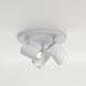 Ascoli 3 Light 8.66 inch Spot Light