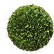 Anita Green Faux Plant