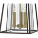 Walker LED 12 inch Buckeye Bronze with Heritage Brass Outdoor Hanging Lantern