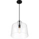 Clarity 1 Light 13 inch Coal Mini Pendant Ceiling Light