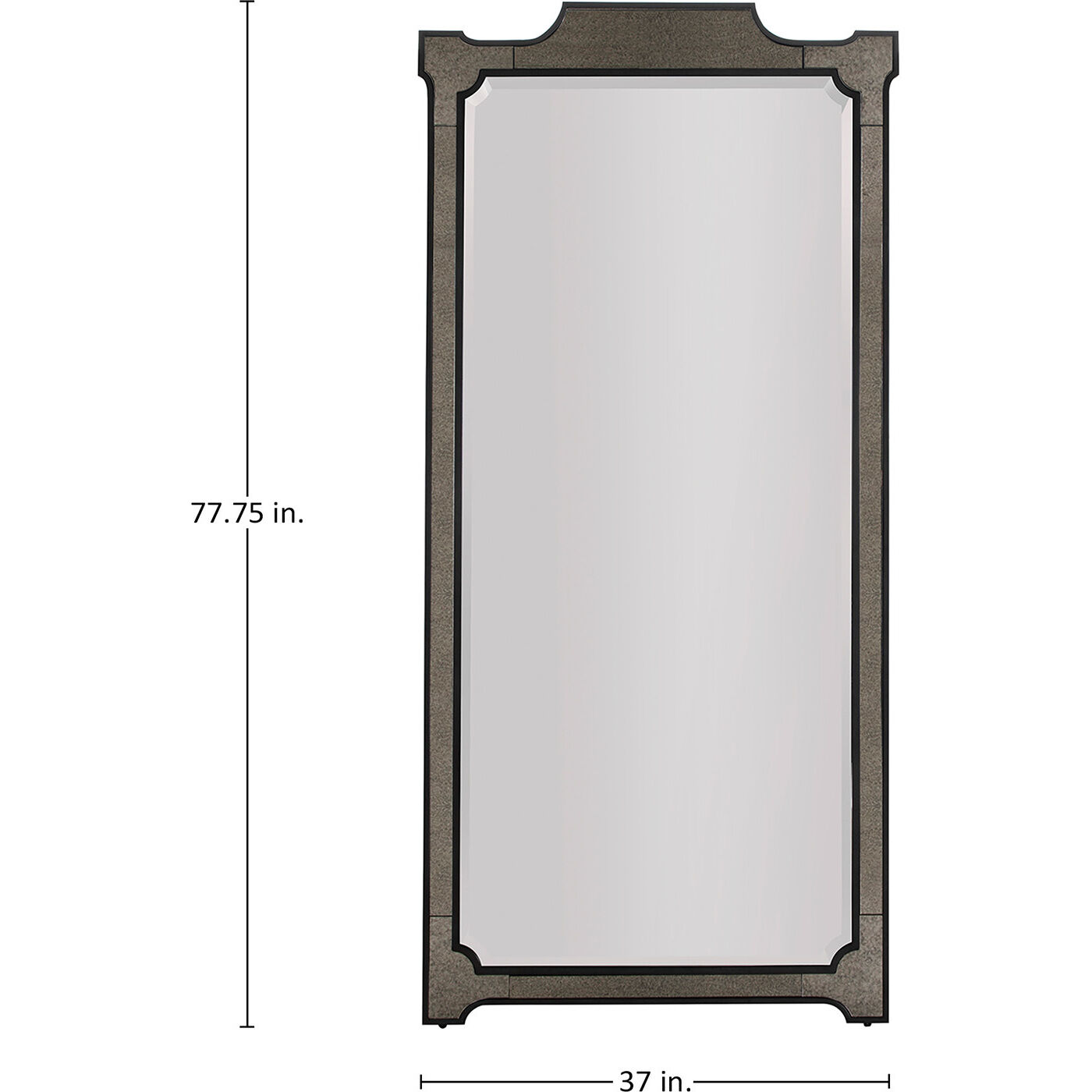Chantel 77.75 X 37 inch Clean Mirror and Antique Mirror with Black Forged Iron Mirror