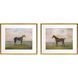 Animals Collection Multi Framed Art