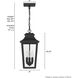 Spring Cove 3 Light 8 inch Matte Black Outdoor Pendant, Large