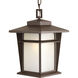 Loyal 1 Light 9 inch Antique Bronze Outdoor Hanging Lantern