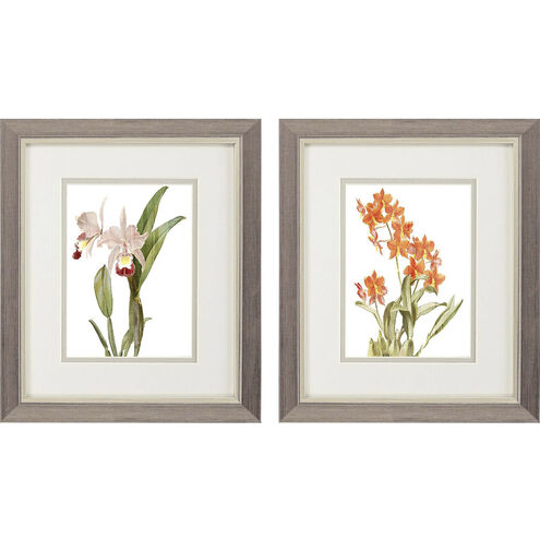 Floral Beauty Orange and Green and Beige and Neutral Framed Art