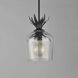 Paloma 1 Light 7.75 inch Anthracite Single Pendant Ceiling Light