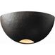 Ambiance Metro 2 Light 10 inch Gloss Black Outdoor Wall Sconce, Really Big