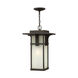 Manhattan LED 11 inch Oil Rubbed Bronze Outdoor Hanging Light