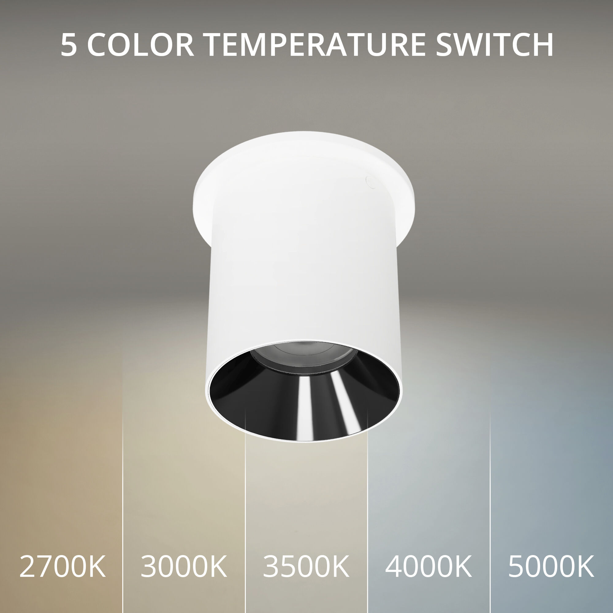 Zoron LED 3.63 inch White and Black Outdoor Ceiling Lighting in White/Black